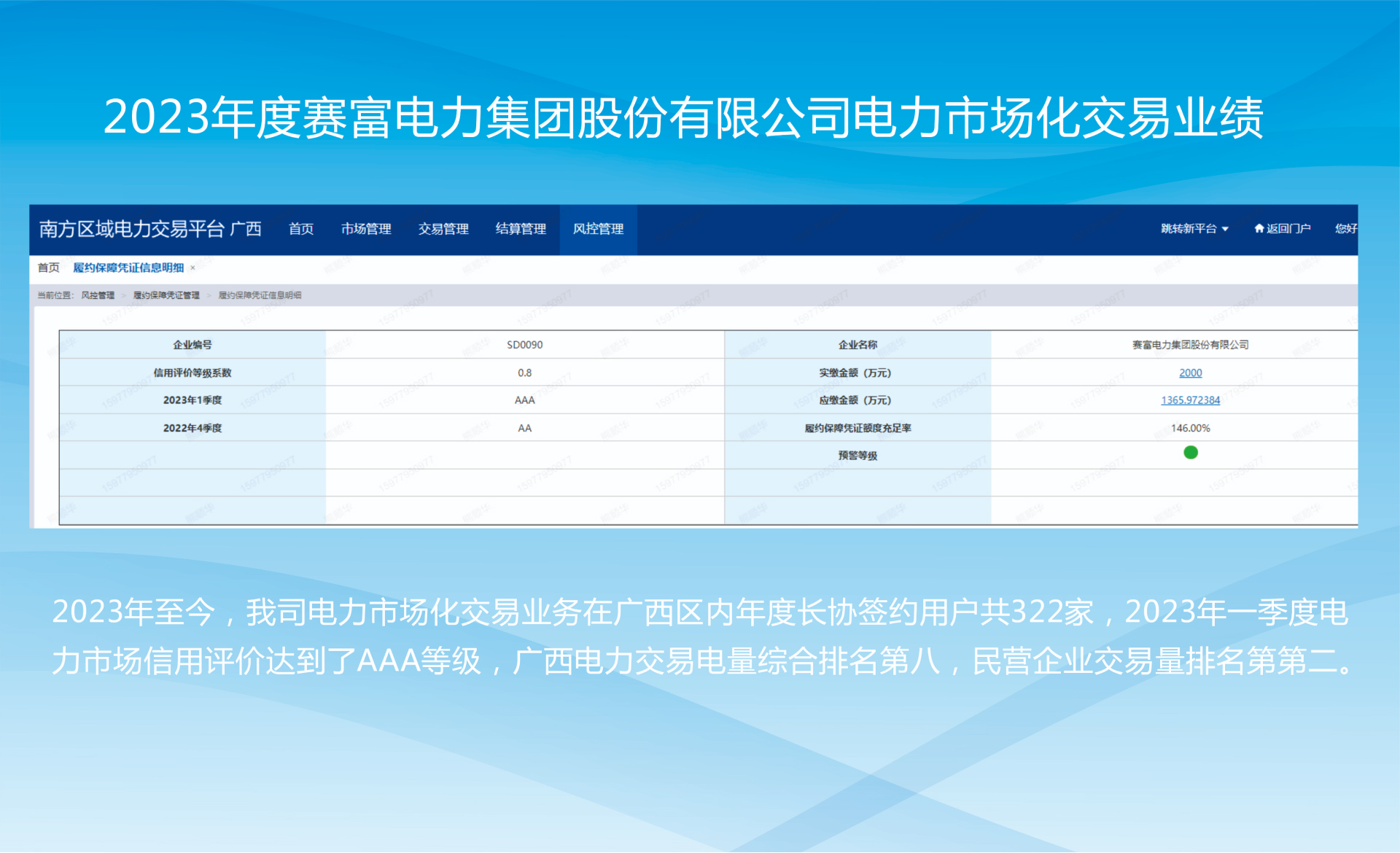 2023年度赛富电力集团股份有限公司电力